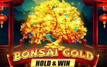 Bonsai Gold Hold & Win - Novomatic